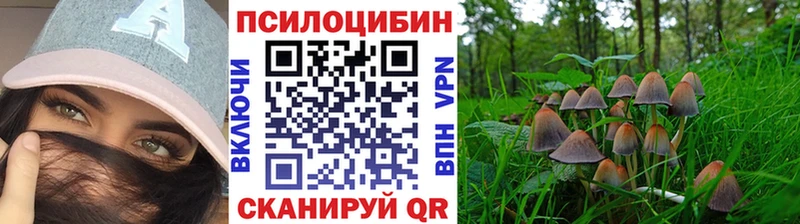 Псилоцибиновые грибы мицелий  Нижняя Салда 